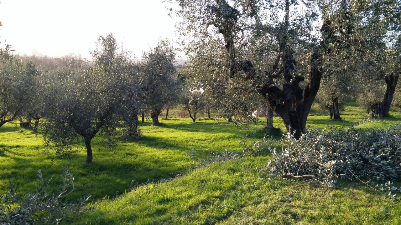 Casa "Il Brio" Villa Pistoia Kültér fotó